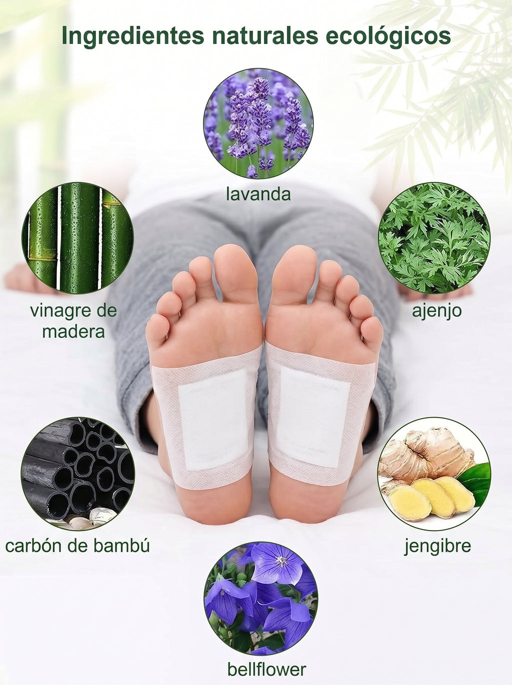 50 Parches Kinoki Desintoxicantes