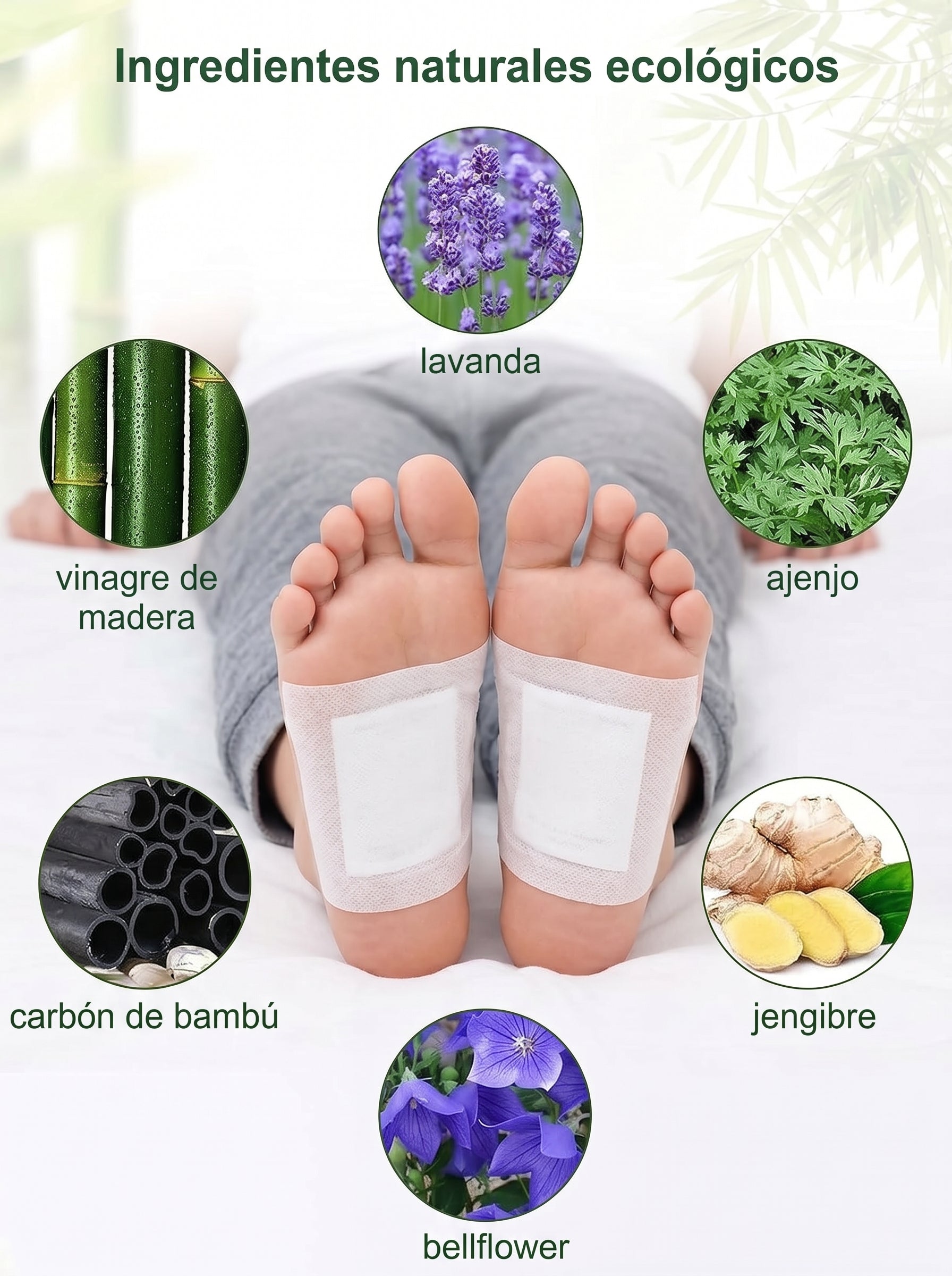 50 Parches Kinoki Desintoxicantes